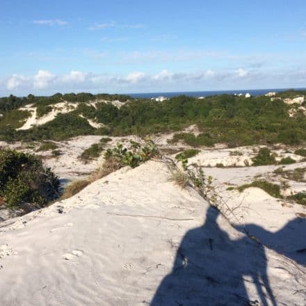 White peace 🧘🏼